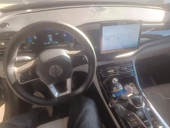 Фото 10 - BYD Qin Plus