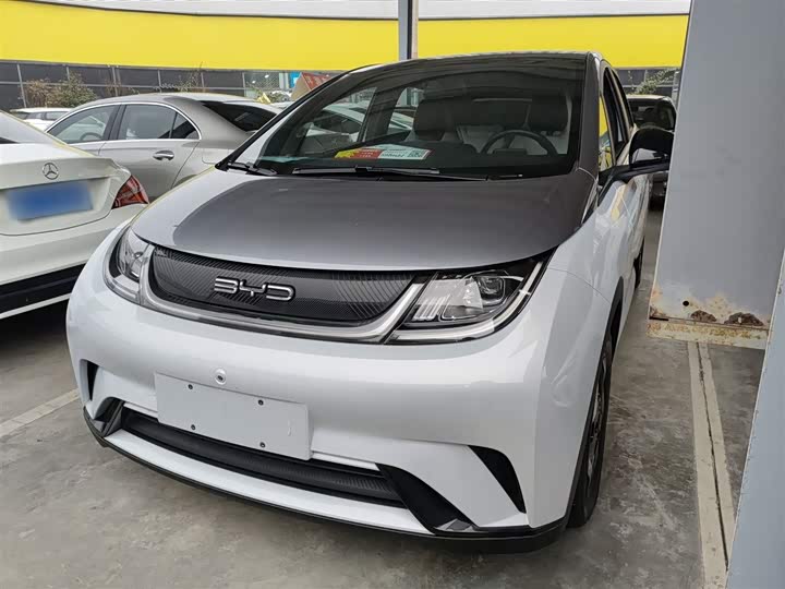 Фото 1 - BYD Dolphin