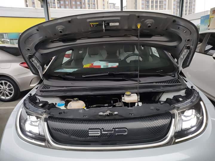 Фото 10 - BYD Dolphin