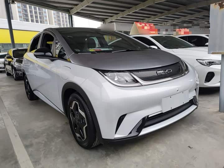 Фото 20 - BYD Dolphin