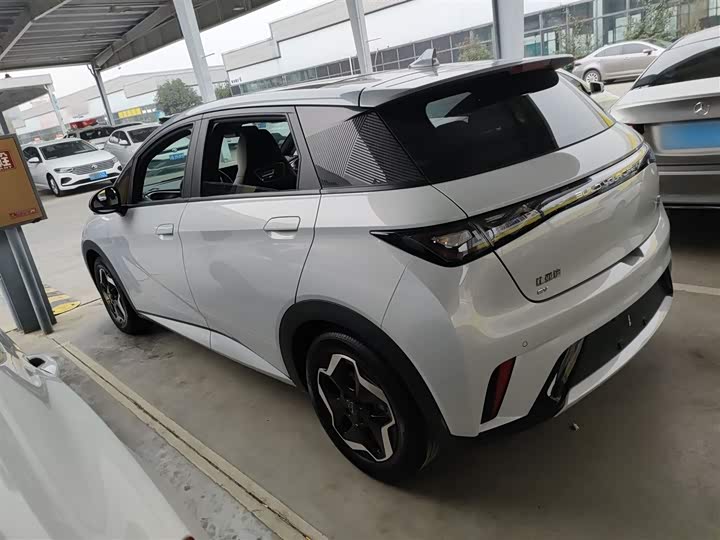 Фото 21 - BYD Dolphin