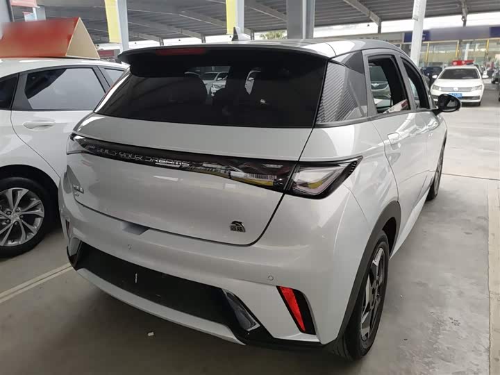 Фото 23 - BYD Dolphin