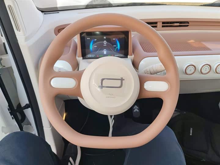 Фото 11 - Bestune Pony