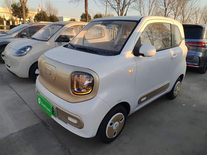 Фото 2 - Bestune Pony