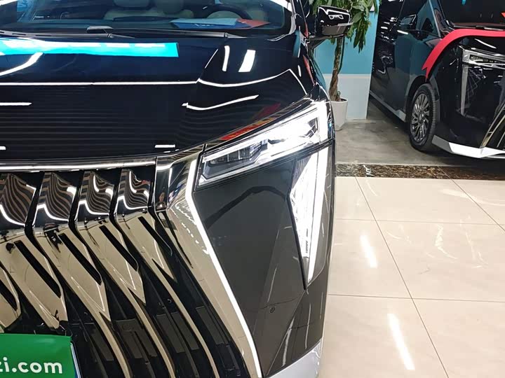 Фото 24 - GAC Trumpchi M8