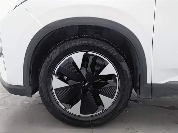 Фото 17 - Dongfeng Aeolus L7