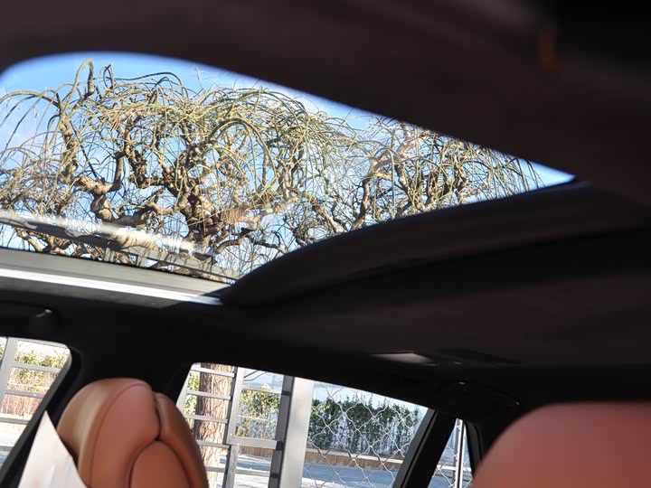 Фото 25 - Lexus LS