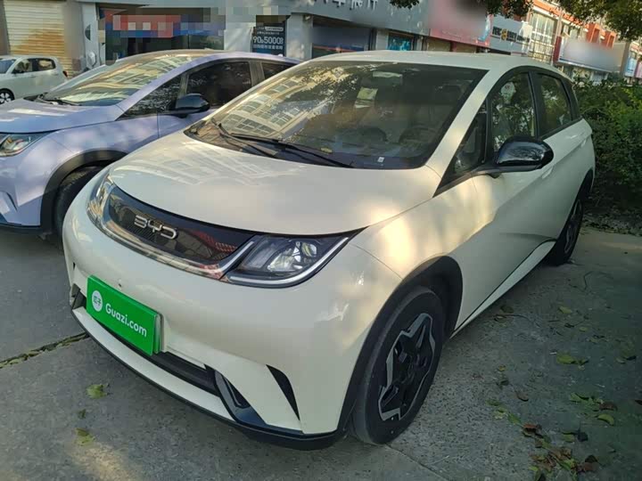 Фото 2 - BYD Dolphin