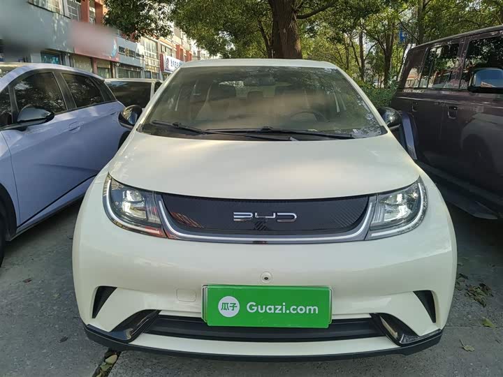 Фото 3 - BYD Dolphin