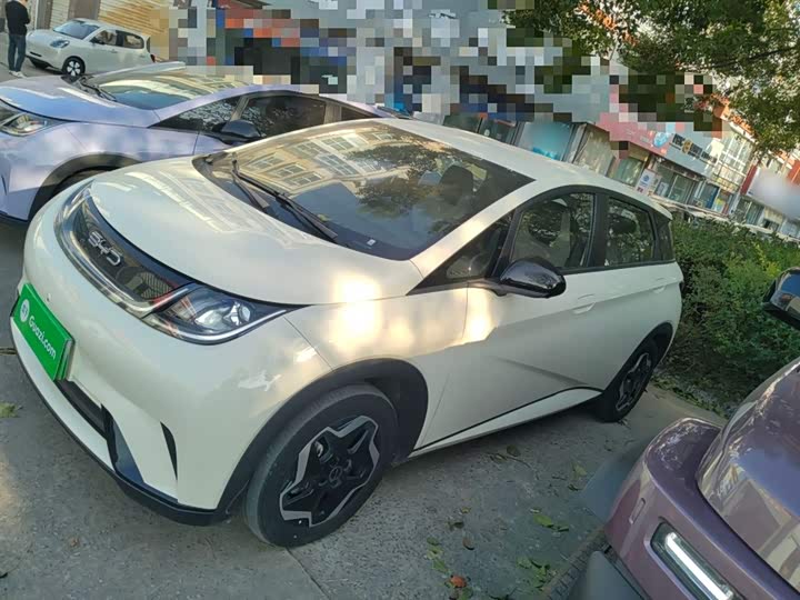 Фото 5 - BYD Dolphin