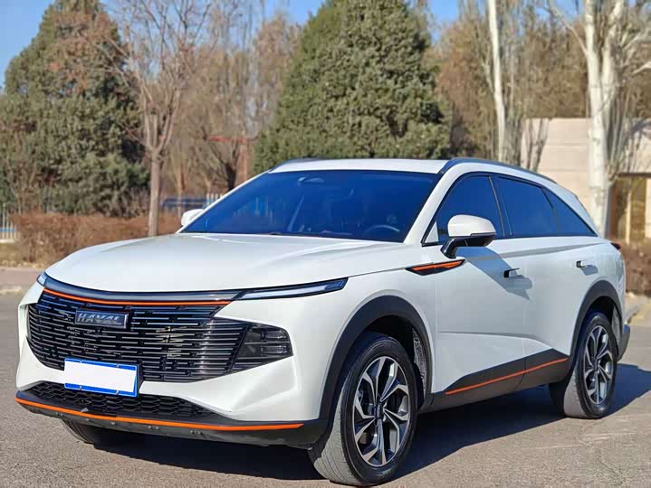 Фото 1 - Haval F7 (Monster)