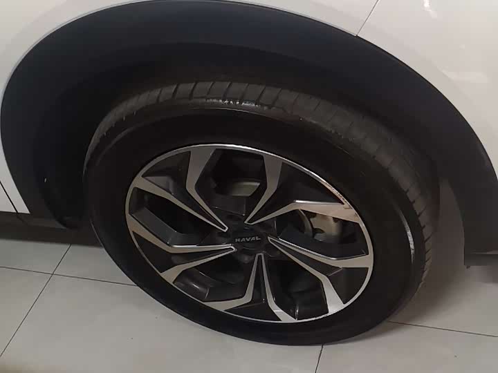 Фото 10 - Haval F7 (Monster)