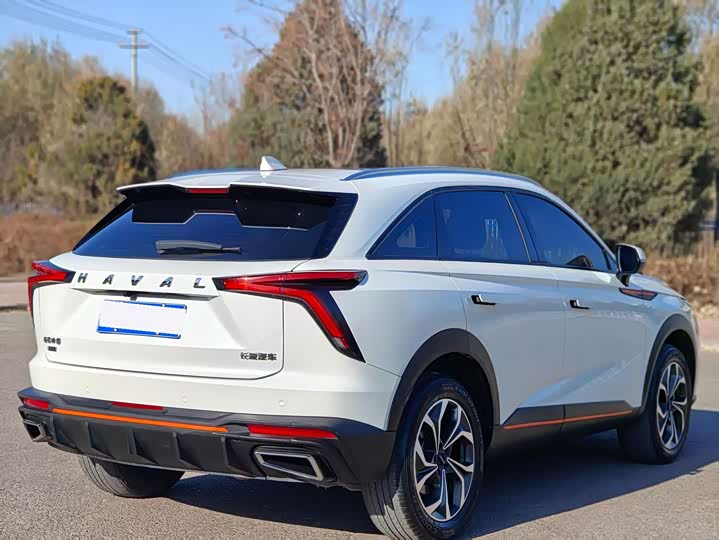 Фото 8 - Haval F7 (Monster)