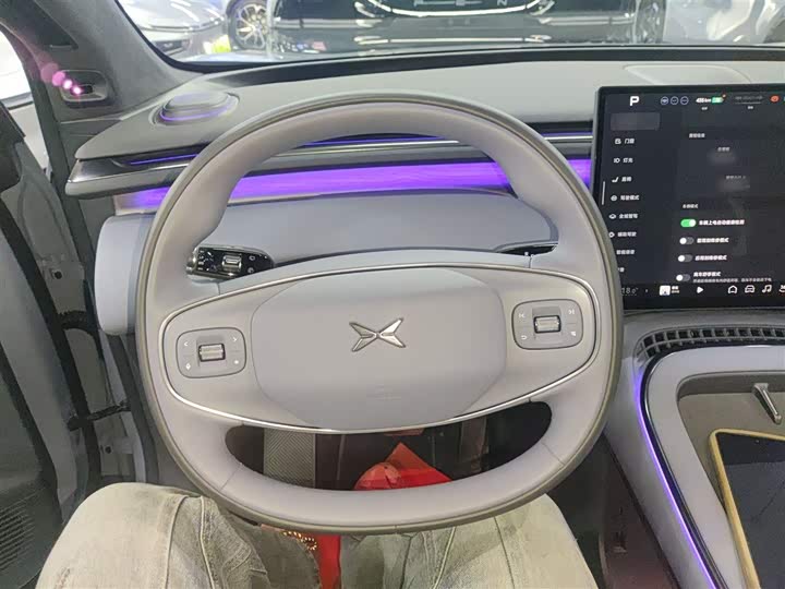 Фото 11 - XPeng G7