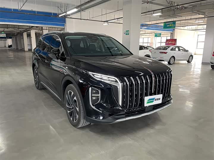 Фото 3 - Hongqi HS7 Hybrid