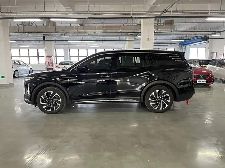 Фото 4 - Hongqi HS7 Hybrid