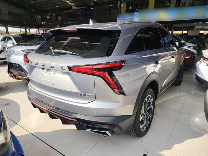 Фото 23 - Haval F7 (Monster)