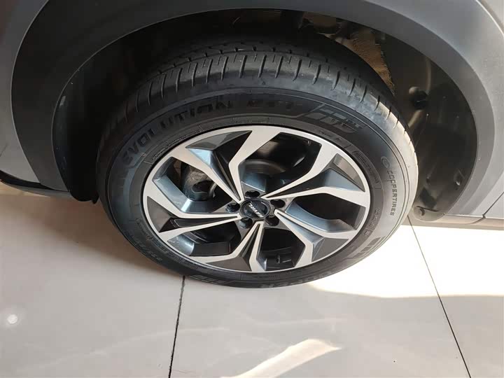 Фото 25 - Haval F7 (Monster)