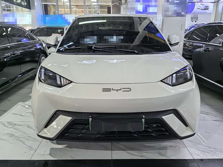 Фото 2 - BYD Seagull