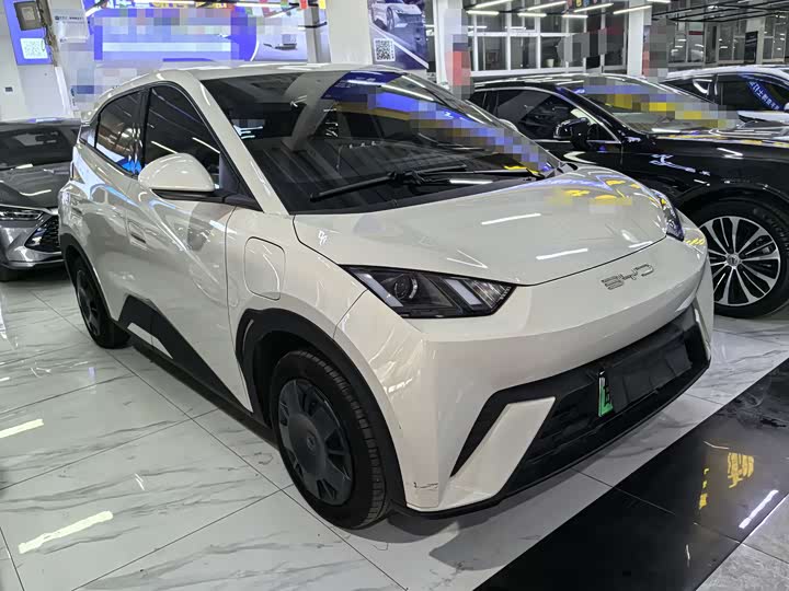 Фото 3 - BYD Seagull