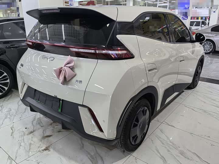 Фото 6 - BYD Seagull