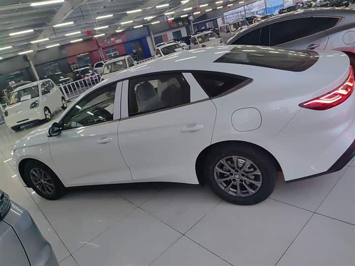 Фото 25 - BYD Qin L