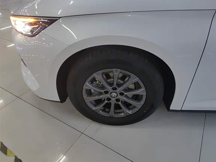 Фото 29 - BYD Qin L