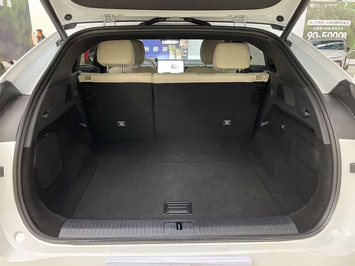 Фото 15 - XPeng G6