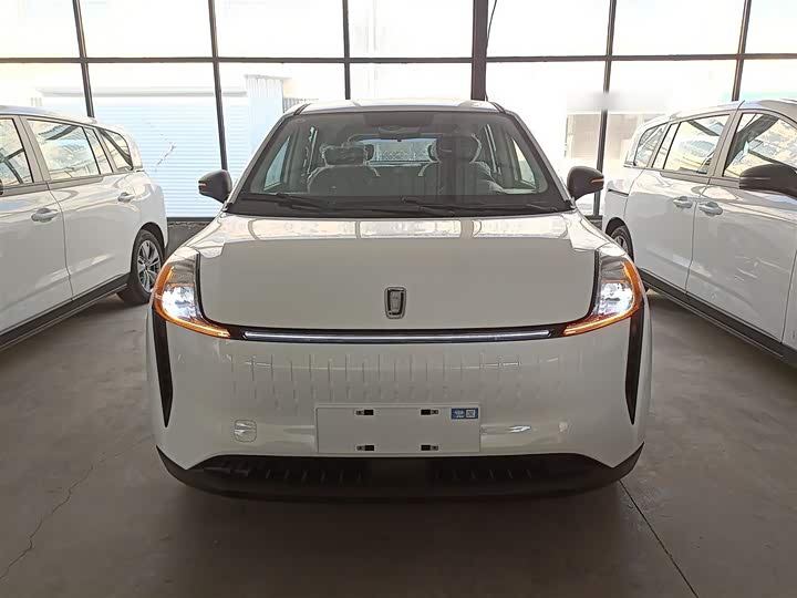 Фото 19 - Bestune NAT