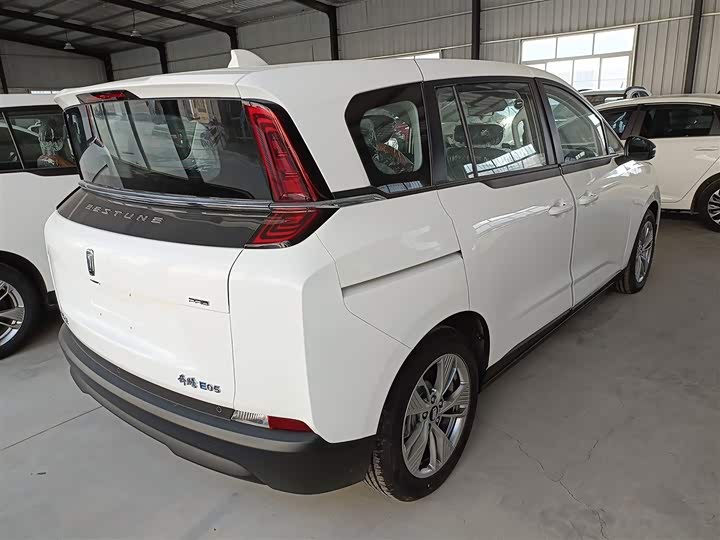 Фото 23 - Bestune NAT