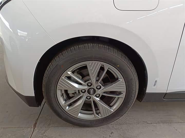 Фото 25 - Bestune NAT