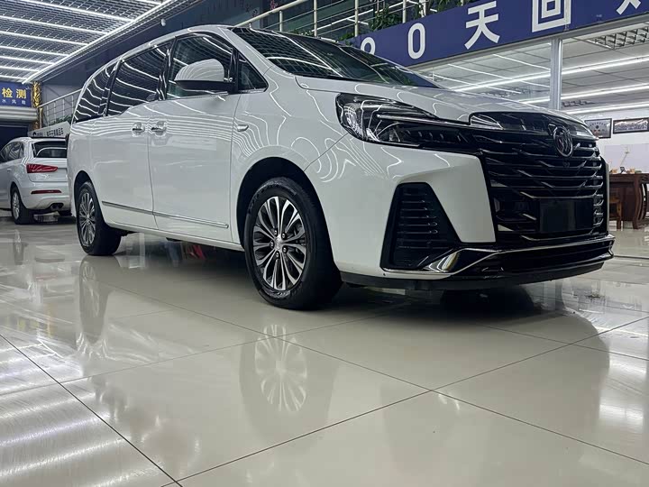 Фото 2 - Buick GL8 ES