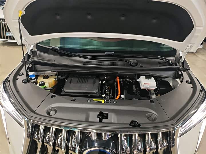 Фото 20 - GAC Trumpchi M8