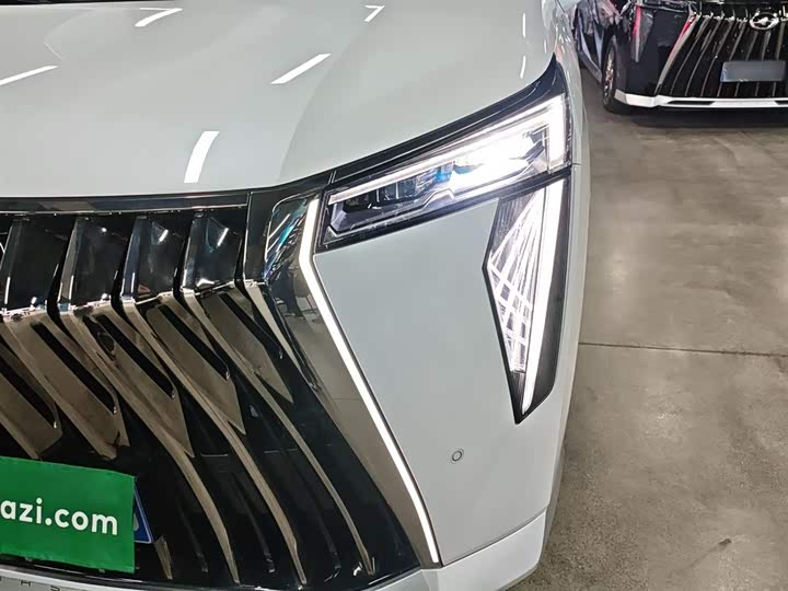 Фото 24 - GAC Trumpchi M8