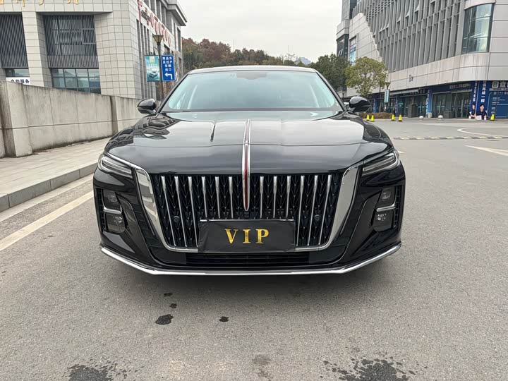 Фото 2 - Hongqi H5