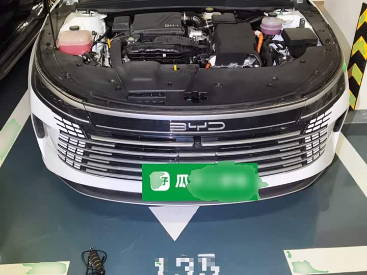 Фото 11 - BYD Destroyer 05