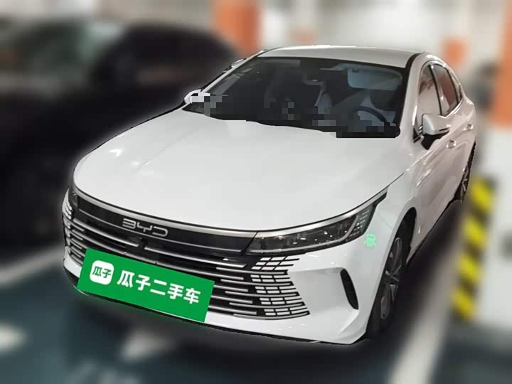 Фото 2 - BYD Destroyer 05