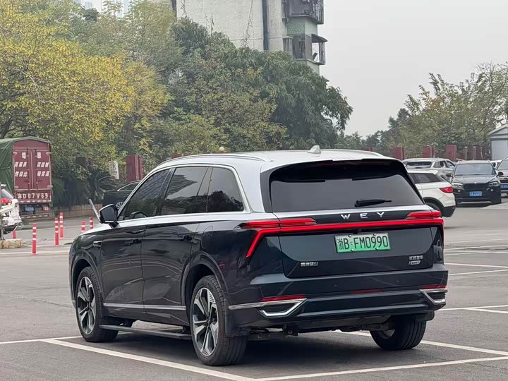 Фото 15 - Wey Lanshan