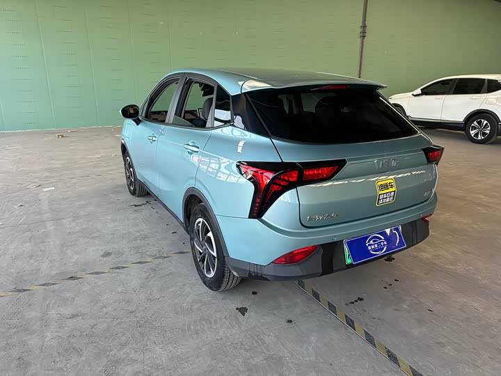 Фото 8 - Hozon V