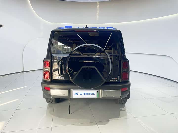 Фото 4 - Haval Raptor Hybrid