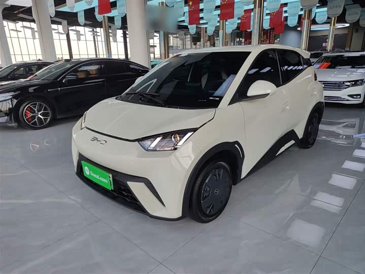 Фото 1 - BYD Seagull