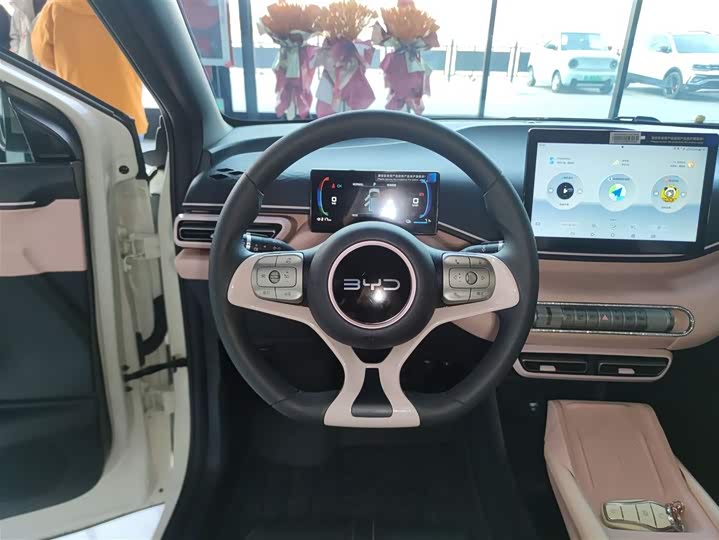 Фото 11 - BYD Seagull