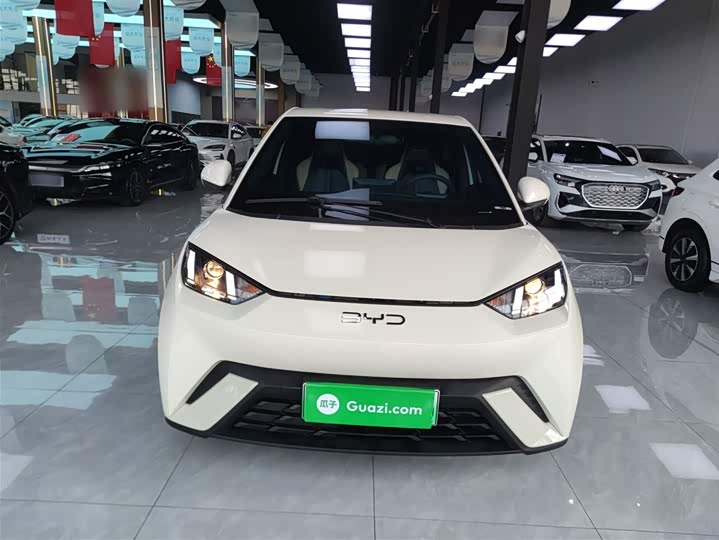 Фото 3 - BYD Seagull