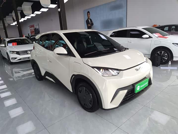 Фото 4 - BYD Seagull