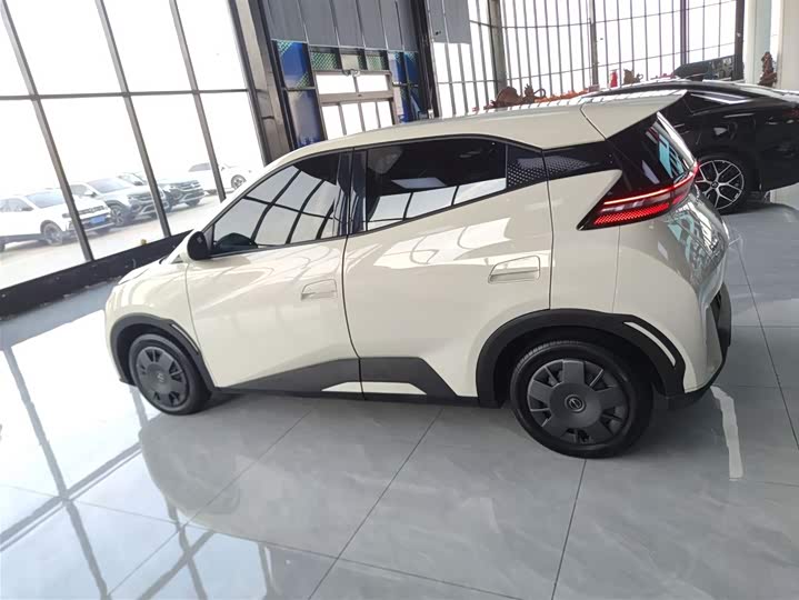 Фото 5 - BYD Seagull