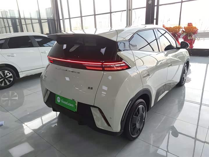 Фото 7 - BYD Seagull