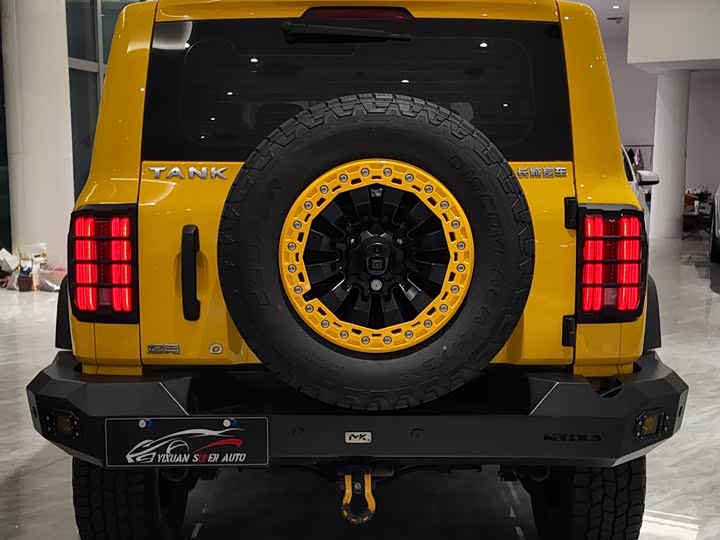 Фото 4 - Tank 300