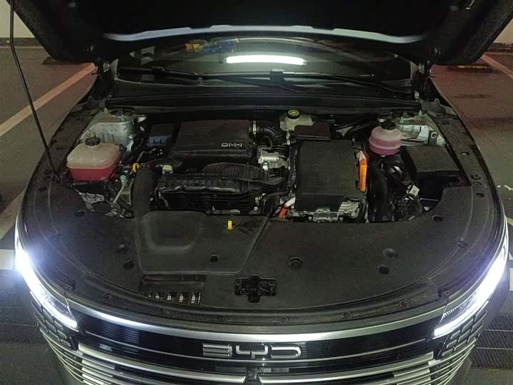 Фото 11 - BYD Destroyer 05