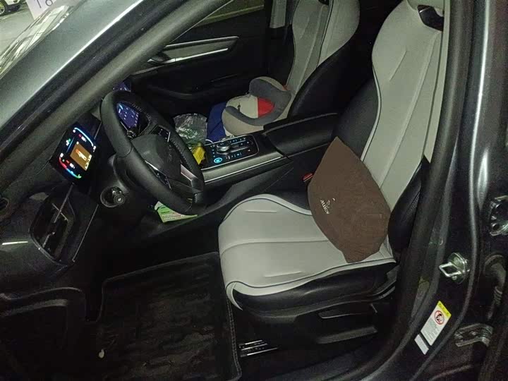 Фото 8 - BYD Destroyer 05