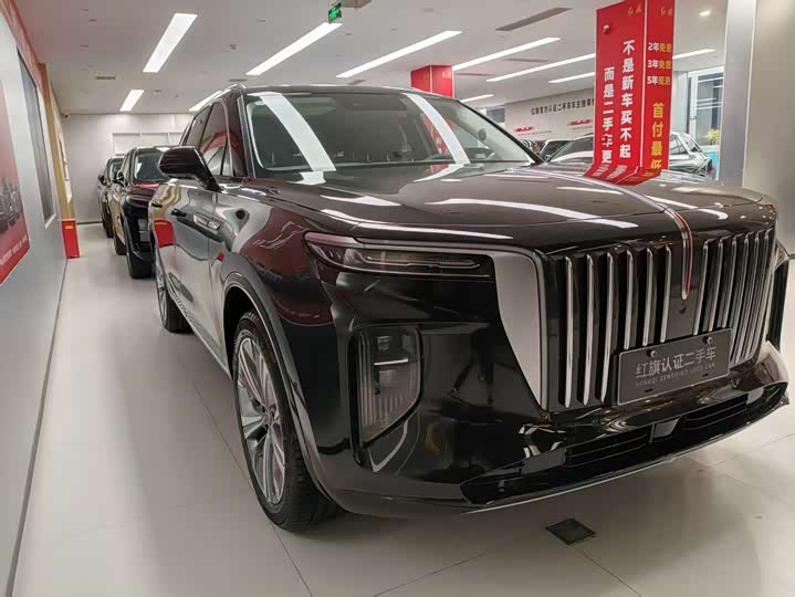 Фото 2 - Hongqi E-HS9